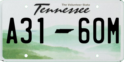 TN license plate A3160M