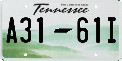 TN license plate A3161I