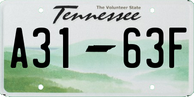 TN license plate A3163F