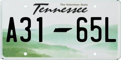 TN license plate A3165L
