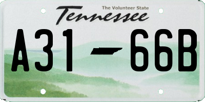 TN license plate A3166B