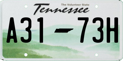 TN license plate A3173H
