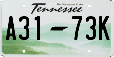 TN license plate A3173K
