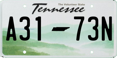 TN license plate A3173N
