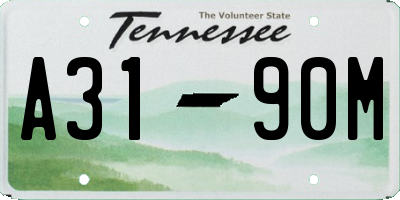 TN license plate A3190M