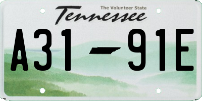 TN license plate A3191E