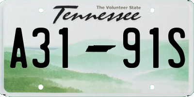 TN license plate A3191S