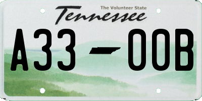 TN license plate A3300B