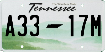 TN license plate A3317M