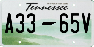 TN license plate A3365V