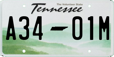 TN license plate A3401M