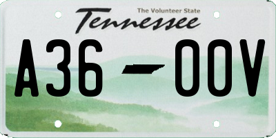 TN license plate A3600V