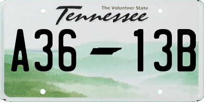 TN license plate A3613B