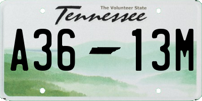 TN license plate A3613M