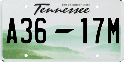 TN license plate A3617M