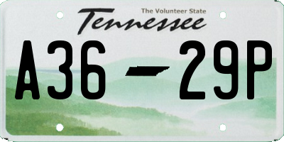 TN license plate A3629P