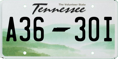 TN license plate A3630I