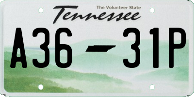 TN license plate A3631P
