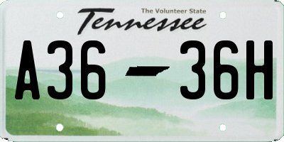 TN license plate A3636H