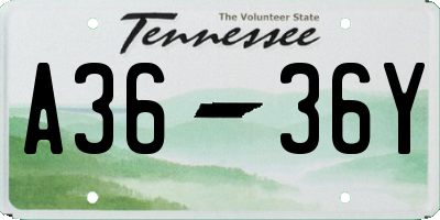 TN license plate A3636Y