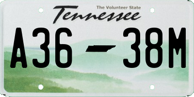 TN license plate A3638M