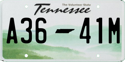 TN license plate A3641M
