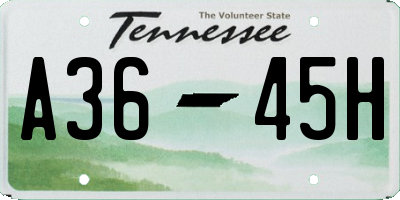 TN license plate A3645H