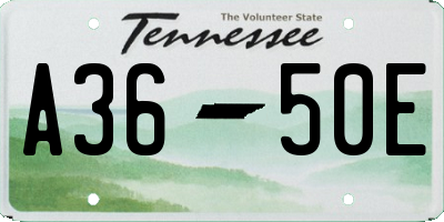 TN license plate A3650E