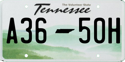 TN license plate A3650H