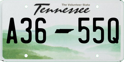 TN license plate A3655Q