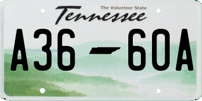 TN license plate A3660A
