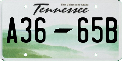 TN license plate A3665B