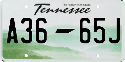 TN license plate A3665J
