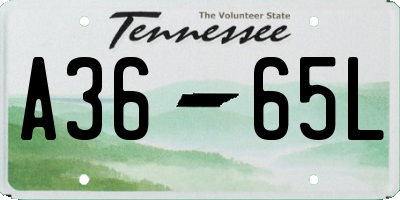 TN license plate A3665L