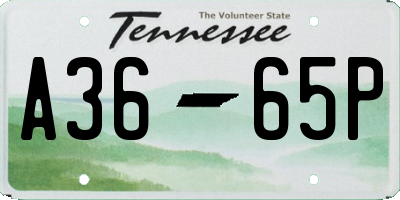 TN license plate A3665P
