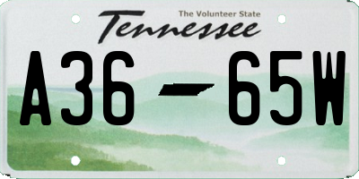 TN license plate A3665W