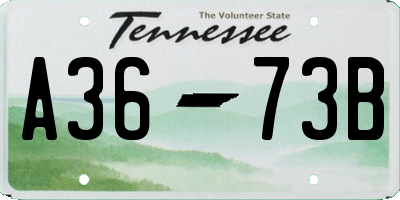 TN license plate A3673B