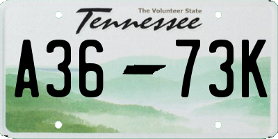 TN license plate A3673K