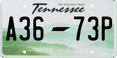 TN license plate A3673P