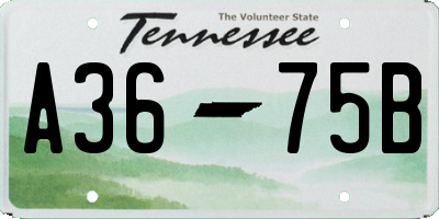 TN license plate A3675B
