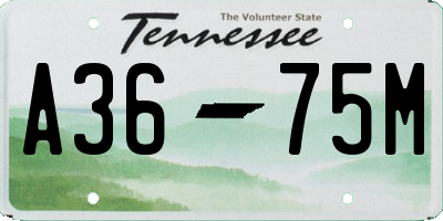 TN license plate A3675M