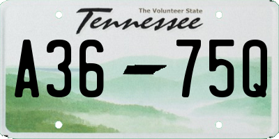 TN license plate A3675Q