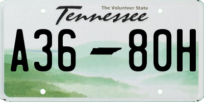 TN license plate A3680H