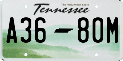 TN license plate A3680M