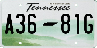 TN license plate A3681G