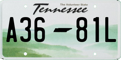 TN license plate A3681L