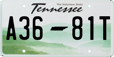 TN license plate A3681T