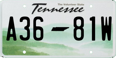 TN license plate A3681W