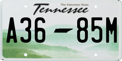 TN license plate A3685M