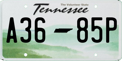 TN license plate A3685P